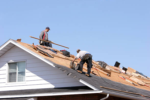 Best Roof Leak Repair  in Gillett, WI